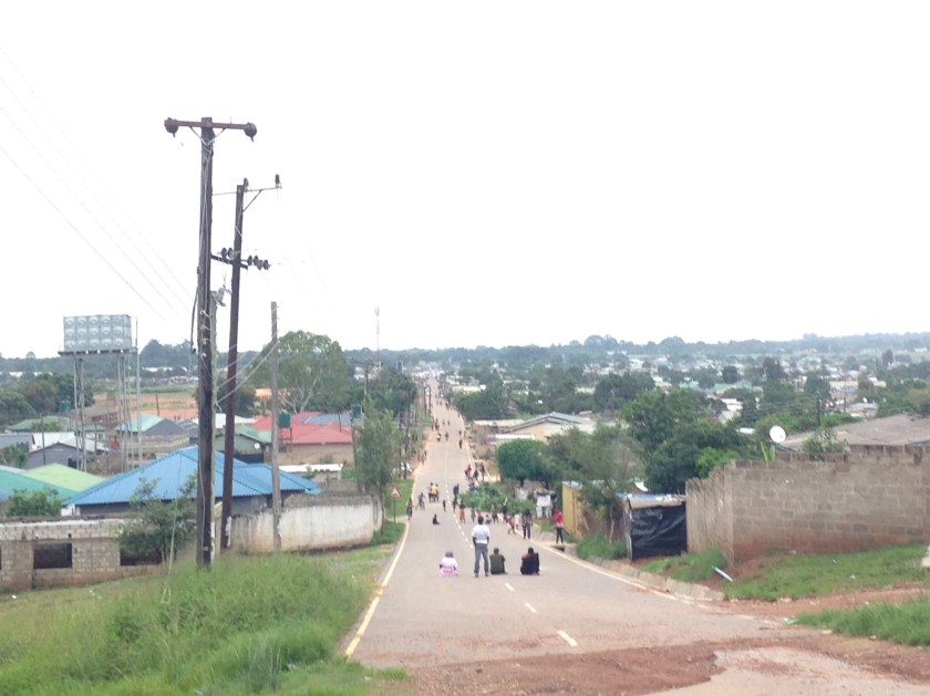 Zambia - Appleseed (242)