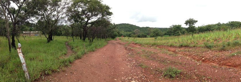 Zambia - Appleseed (251)