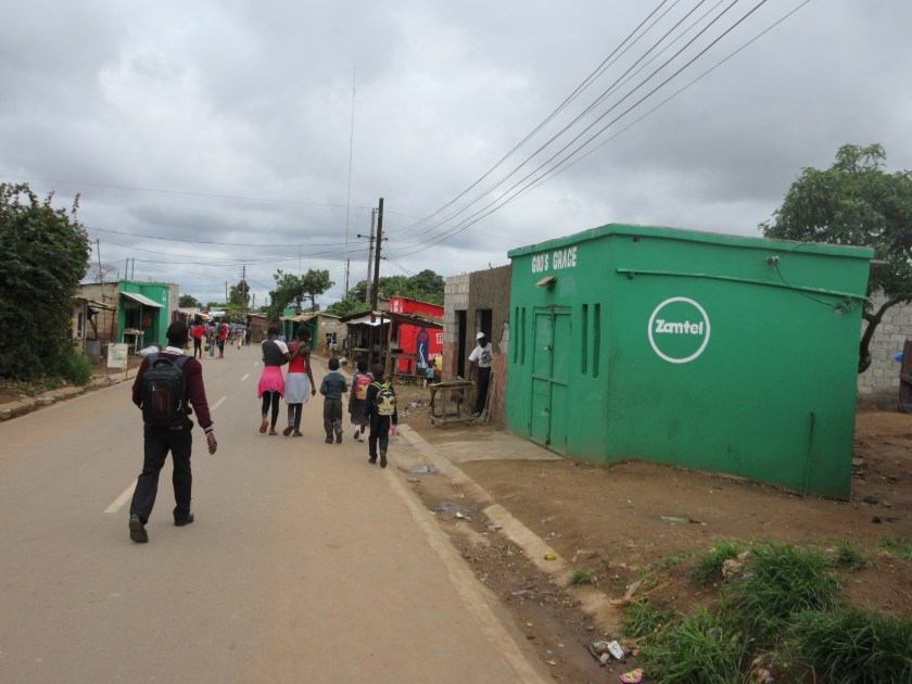 Zambia - Appleseed (686)